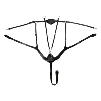 Produktbild von Acavallo Anatomical Vorderzeug Schwarz Full Schwarz Full