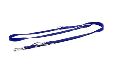 Obrázek produktu pro Modré vodítko, Velikost: 2,5 x 200 cm