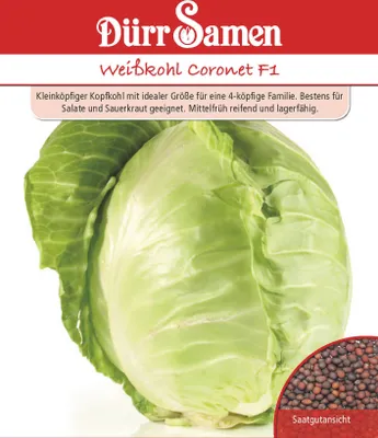 Produktbild von Weißkohl Coronet F1 | Kohlsamen von Dürr Samen