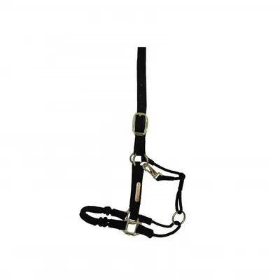 Produktbild von Kentucky Horsewear Kontrollhalfter Pferdehalfter Cob