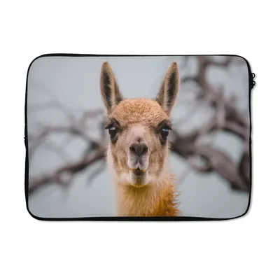 Obrázek produktu pro Pouzdro na notebook 14 palců Lama - Selfie - Boom Brašna na notebook