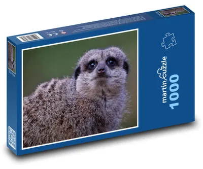 Obrázek produktu pro Puzzle 1000 Surikata v přírodě - martinpuzzle