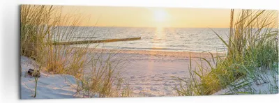Produktbild von Bild auf Leinwand - Leinwandbild - Düne Strand Meer - 160x50cm - Wand Bild - Wanddeko - Wandbilder - Leinwanddruck - Bilder - Kunstdruck - Wanddekoration - Leinwand bilder - Wandkunst - AB160x50-3989