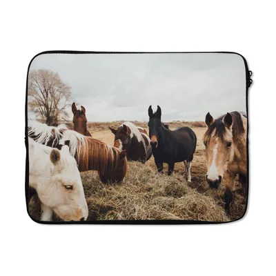 Produktbild von MuchoWow® Laptop Hülle 17 Zoll Laptoptasche Tiere - Pferd - Zipper - Schutzabdeckung