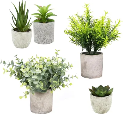 Obrázok produktu pre Umelé rastliny 5 kusov, malé, eukalyptus a sukulenty, pre obývaciu izbu