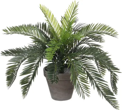 Produktbild von Mica Decorations Cycas-Palmfarn Kunstpflanze im Blumentopf Stan - H37 x Ø44 cm - Grün