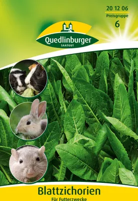 Artikelbild 2 von 'Blattzichorie (20 g)' aus der Kategorie Salatsamen
