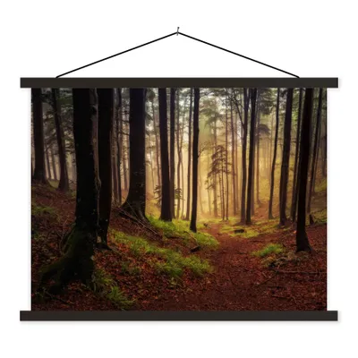 Produktbild von MuchoWow® Textilposter Bäume - Natur - Wald 120x90 cm mit schwarzem Rahmen - Aufhänger für Poster