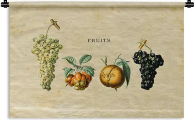 Produktbild von MuchoWow® Wandteppich Wandbehang Obst - Weintraube - Weinlese 90x60 cm Tapisserie Dekoration Wandtuch - Wandskulpturen - Bildteppich