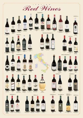 Image de Educational - Italian Red Wines Vins rouges italiens Poster - Taille 68x98 cm
