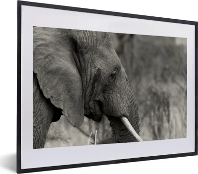 Produktbild von MuchoWow® MuchoWow® Gerahmtes Poster Elefant - Tiere - Schwarz - Weiß 60x40 cm - Poster mit zchwarzem Bilderrahmen - Schlafzimmer - Plakat in Rahmen - Drucken