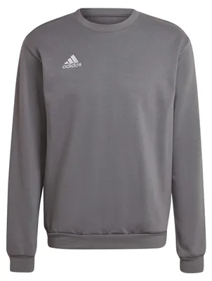 Produktbild von adidas Entrada 22 Sweatshirt XL TEGRFO
