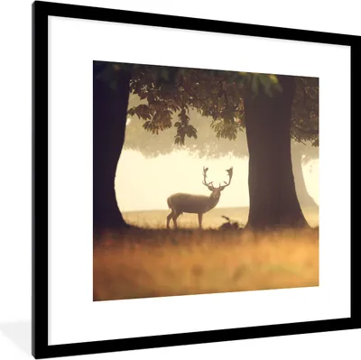 Produktbild von MuchoWow® Gerahmtes Poster Hirsche - Bäume - Wald 40x40 cm - Poster mit Schwarzem Bilderrahmen Wandposter Rahmen Foto Bilder - Poster - Plakat im Rahmen