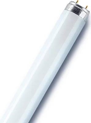 Obrázok produktu pre Osram LUMILUX, 16 W, G13, T8, 20000 h, 1250 lm, Studená biela