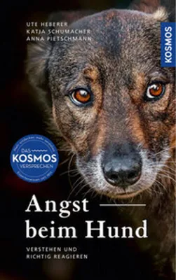 Produktbild von Angst beim Hund