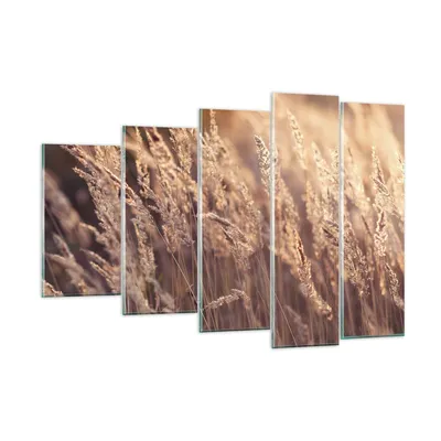 Produktbild von Bilder auf glas - 5 Teile - Boho Ähren Feld - 150x100cm - Glasbilder - Wandbilder - Bilder - zum Aufhängen bereit - Wanddekoration aus Glas - Glas Bilder - Wandbild auf Glas - GEG150x100-4838