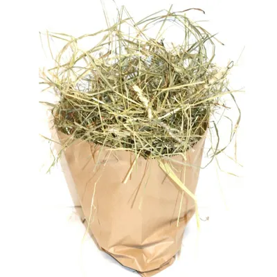 Produktbild von 30g Ostergras Wiesen-Heu Spreewald-Heu Natur Bastelgras Dekoration