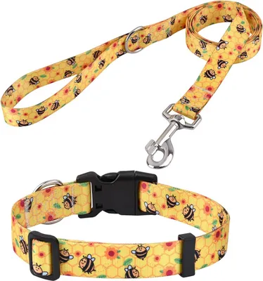 Produktbild von Halsband- und Leinen-Set, verstellbar, weich und bequem, Nylon, für kleine, mittelgroße, große Hunde, Welpen, Katzen (Größe M)