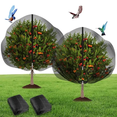 Image de Filet de protection pour arbres fruitiers, lot de 2