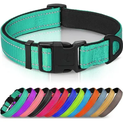 Produktbild von Hundehalsband gepolstert Neopren Nylon verstellbar reflektierend M Türkis