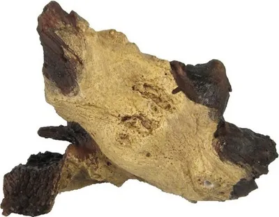 Produktbild von Aquariumdekoration Mopani Wurzel nano