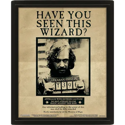 Produktbild von Poster 3D Lentikular Harry Potter und Sirius Black Harry Potter
