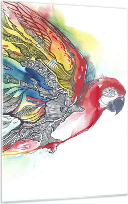 Produktbild von Bilder auf glas - Einteilig - Parrot Flügel Federn Natur - 50x70cm - Glasbilder - Wandbilder - Bilder - zum Aufhängen bereit - Wanddekoration aus Glas - Glas Bilder - Wandbild auf Glas - GPA50x70-3008