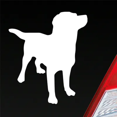 Produktbild von Auto Aufkleber Labrador Labbi Retriever Dog Hund Dog Tier 10x12 cm Weiss Glanz Sticker Heckscheibenaufkleber