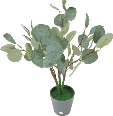 Image de Eucalyptus artificiel de table avec lumière LED alimentée par USB Plante en pot avec lumière pour la décoration du bureau et de l'intérieur