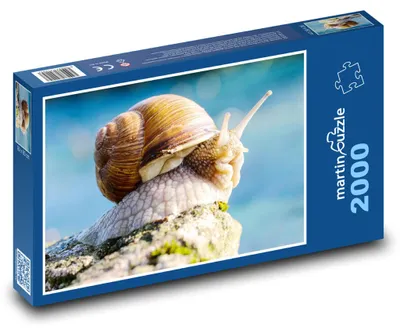 Obrázok produktu pre martinpuzzle - Puzzle 2000 - Slimák