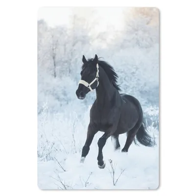 Produktbild von MuchoWow® Mauspad Mousepad Pferd - Schnee - Wald 18x27 cm - Mousepads - Maus Mat - Pad - Mausunterlage