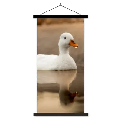 Produktbild von MuchoWow® Textilposter Ente - Vogel - Wasser - Weiß 60x120 cm mit schwarzem Rahmen - Magnete