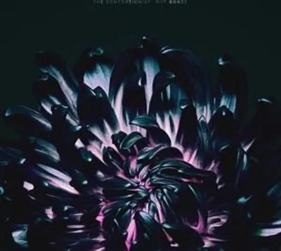 Produktbild von Our Bones