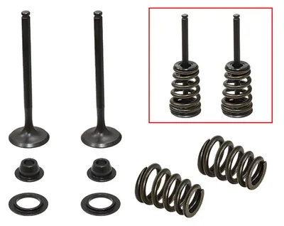 Image de Kit de suspension PSYCHIC pour motos d'enduro KTM/BETA/HUSABERG, modèles de 2000 à 2008, comprenant les ressorts et les joints
