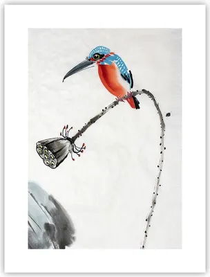Produktbild von Poster - Poster ohne Rahmen - Libelle Vogel Blume - 30x40 cm - Wand Bild - Wanddeko - Wandbilder - Kunstposter - Wandposter - Bilder - Kunstdruck - Wanddekoration - Wandbild - P2XPA30x40-4361
