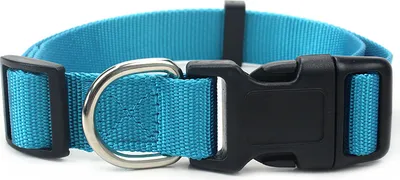 Produktbild von Robustes Hundehalsband aus Nylon – stufenlos verstellbar, leicht & bequem – Klickverschluss – für Welpen, kleine & große Hunde – S, M & L Größe S Blau