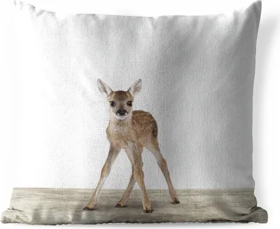 Produktbild von MuchoWow® Outdoor Kissen - Hirsche - Baby-Hirsche - Tiere - Mädchen - Jungen - Kinder - 50x50 cm - Wetterfest - Lounge Kissen - Komfortabel - Kissen mit Bild