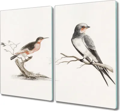 Produktbild von Coloray Hackbrett Herdabdeckplatte 2x30x52 cm Küchenbrett Kochplattenabdeckung Schneidebrett - Tiere Vögel