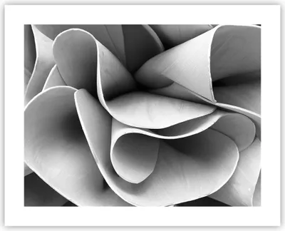 Produktbild von Poster - Poster ohne Rahmen - Material Ornament Stück - 50x40 cm - Wand Bild - Wanddeko - Wandbilder - Kunstposter - Wandposter - Bilder - Kunstdruck - Wanddekoration - Wandbild - P2XAA50x40-4993