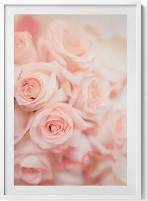 Produktbild von Romantischer Blumenstrauß aus Rosen– Wandbild mit Rahmen – Gerahmtes Bild  – Wanddekoration – 70x100 cm –  Weiß Rahmen