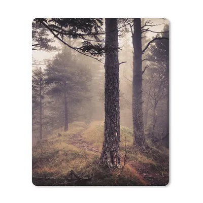 Produktbild von MuchoWow® Mauspad Mousepad Nebel - Herbstdekoration - Natur - Wald 30x40 cm - Mousepads - Maus Mat - Pad - Mausunterlage - Mausmatten
