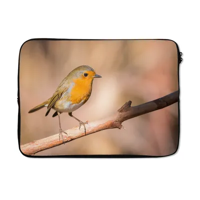 Produktbild von MuchoWow® Laptop Hülle 13 Zoll Vogel - Zweig - Rotkehlchen Laptoptasche - Laptophülle - Sleeve - Rundumschutz