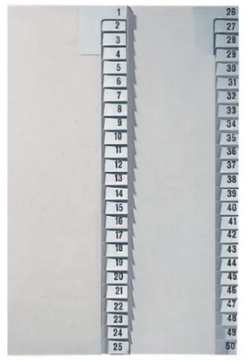 Produktbild von Leitz 1382-00-85 1382 Registerserie - 26-50, Papier, A4 Überbreite, 25 Blatt, grau