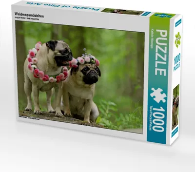 Produktbild von Calvendo Waldmopsmädchen 1000 Teile Puzzle quer 640x480mm, Köntopp Kathrin; 7402089