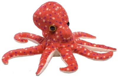 Produktbild von kuscheltier Octopus junior 18 cm Plüsch rot