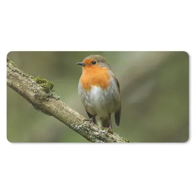 Produktbild von MuchoWow® Schreibtischunterlage Vogel - Rotkehlchen - Zweig - Pflanzen 80x40 cm - XXL Mauspad - Gaming Mauspad