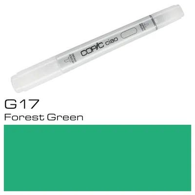Immagine prodotto di Marcatore Copic Ciao G17 Verde foresta