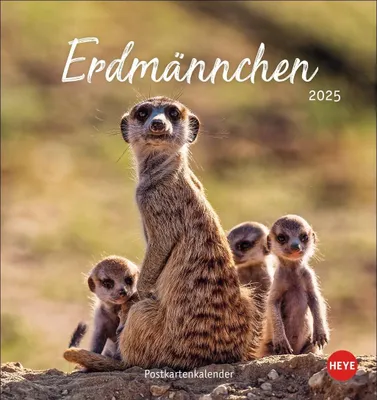 Produktbild von Erdmännchen Postkartenkalender 2025