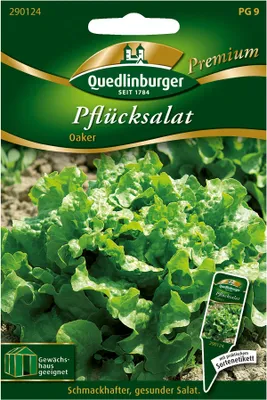Produktbild von Pflücksalat 'Oaker' Quedlinburger Salatsamen