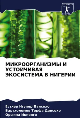 Produktbild von MIKROORGANIZMY I USTOJChIVAYa JeKOSISTEMA V NIGERII